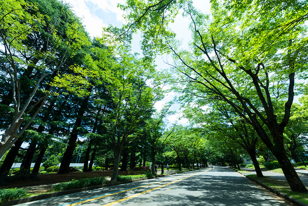 駒沢公園