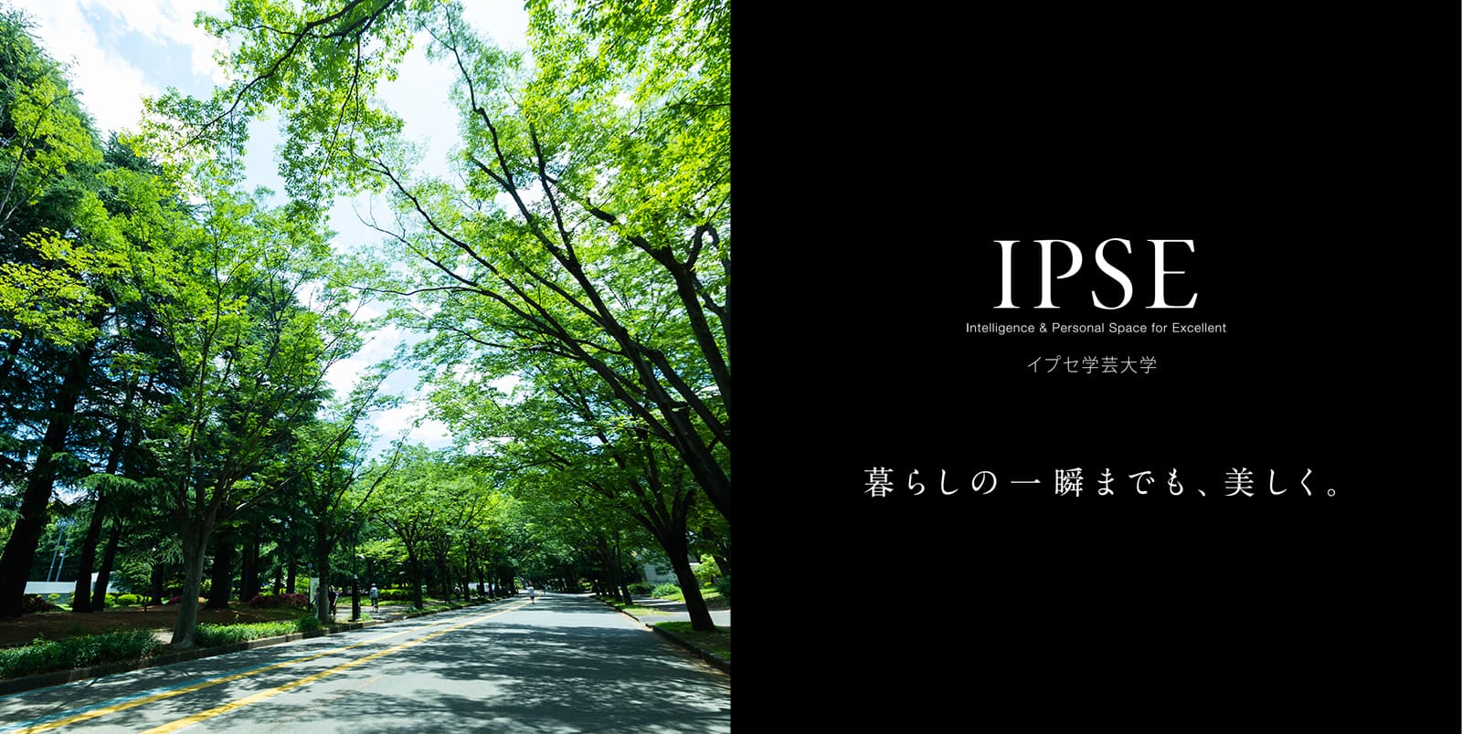 イプセ学芸大学 IPSE Intelligence & Personal Space for Excellent 暮らしの一瞬までも、美しく