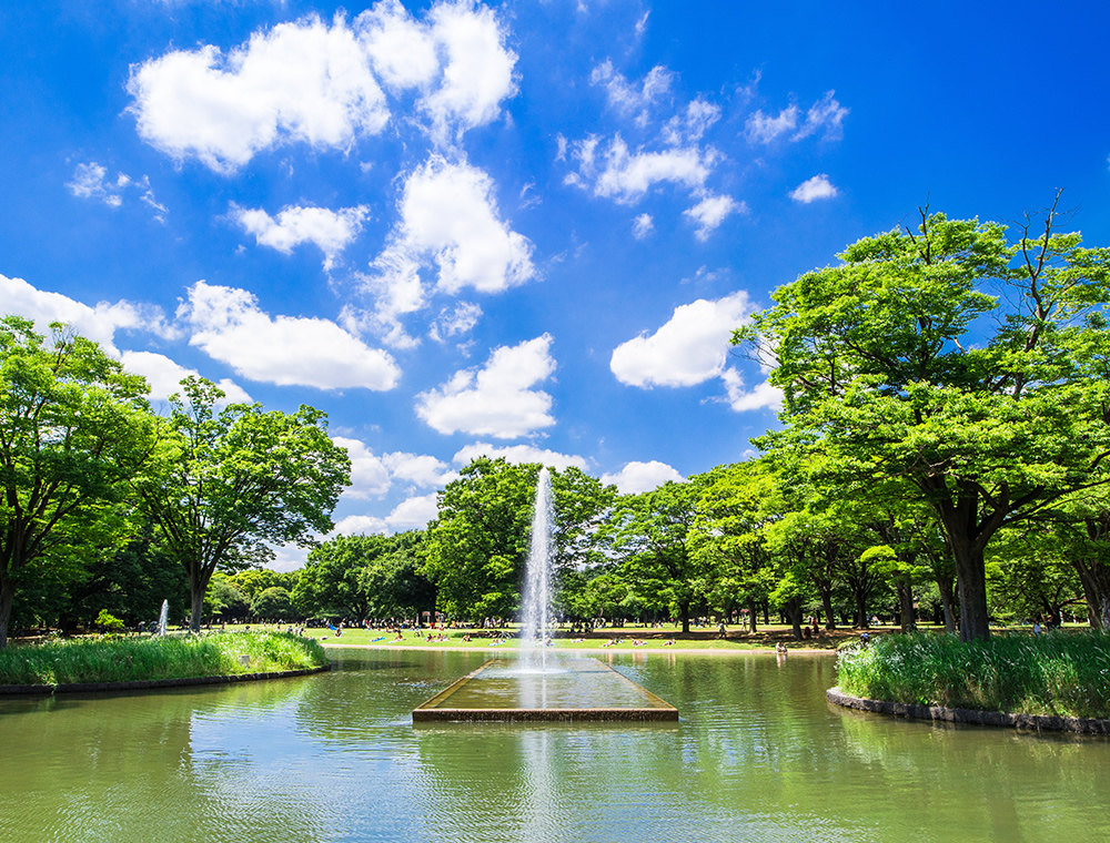 代々木公園