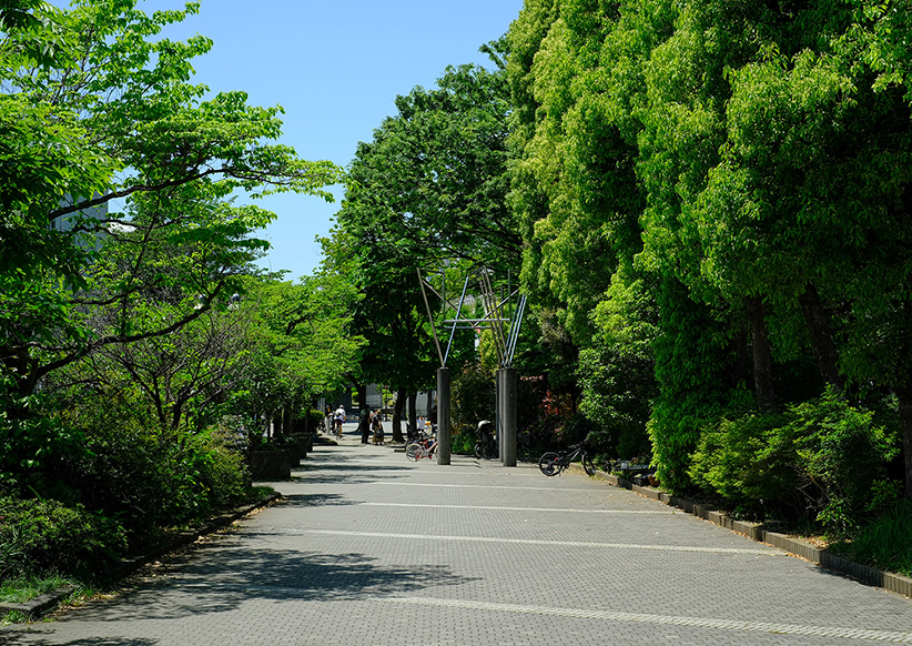 玉川上水旧水路緑道