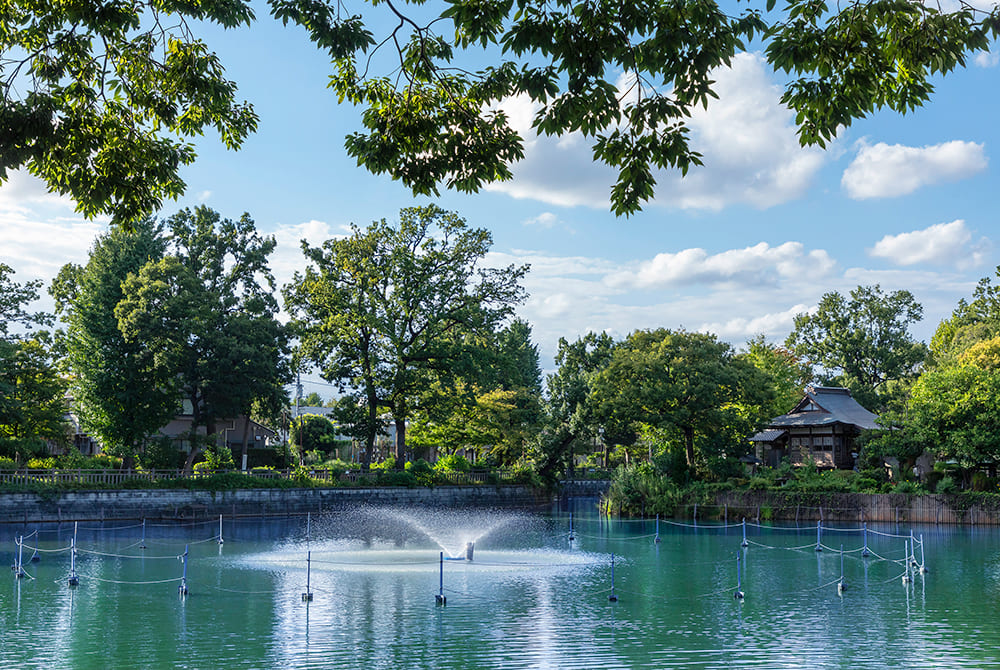 碑文谷公園