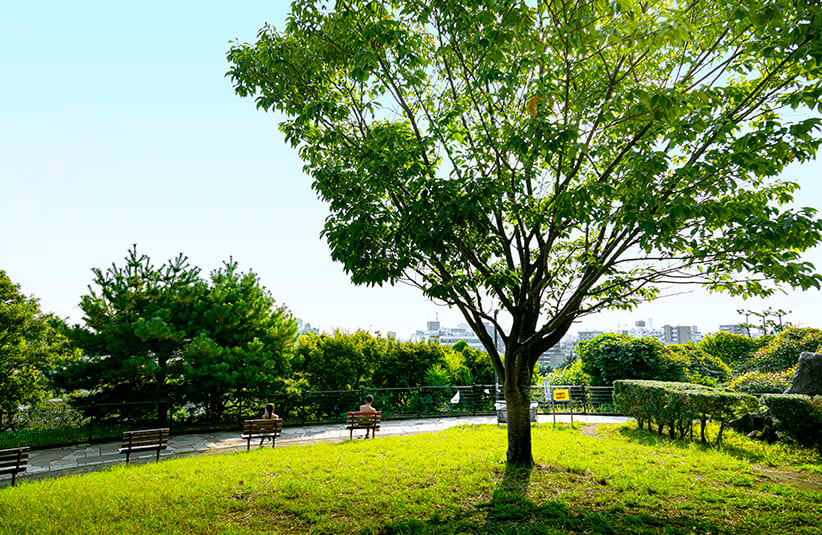 西郷山公園