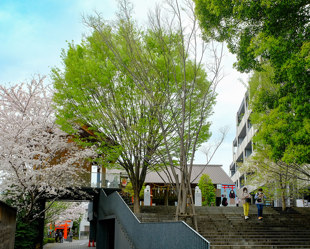 赤城神社