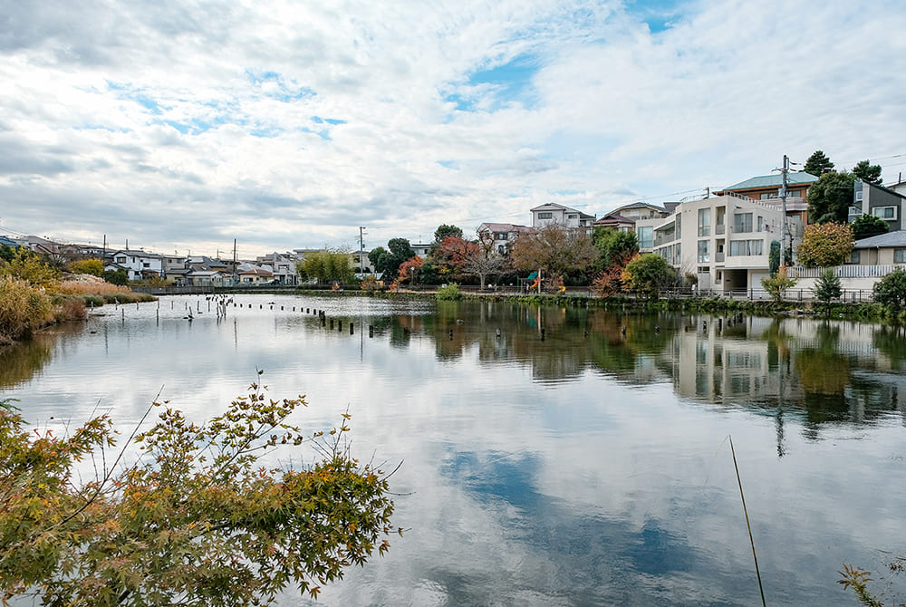 小池公園