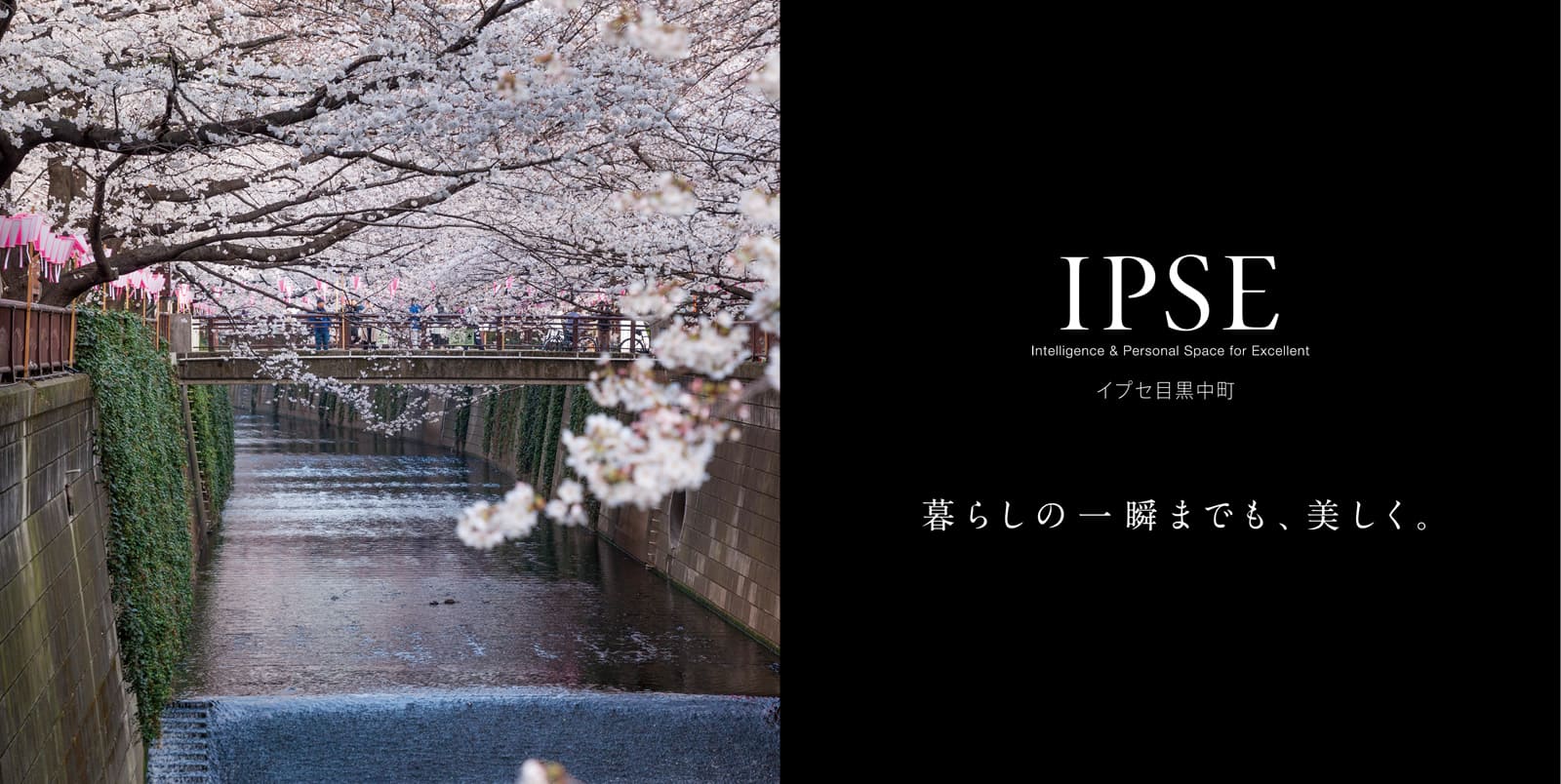 イプセ目黒中町 IPSE Intelligence & Personal Space for Excellent 暮らしの一瞬までも、美しく