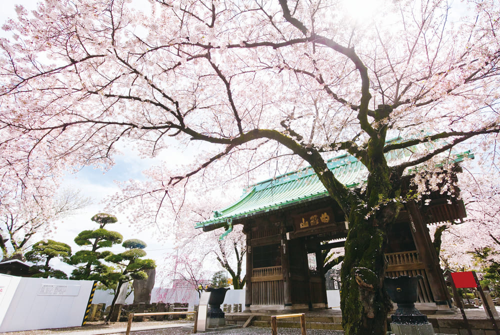 祐天寺