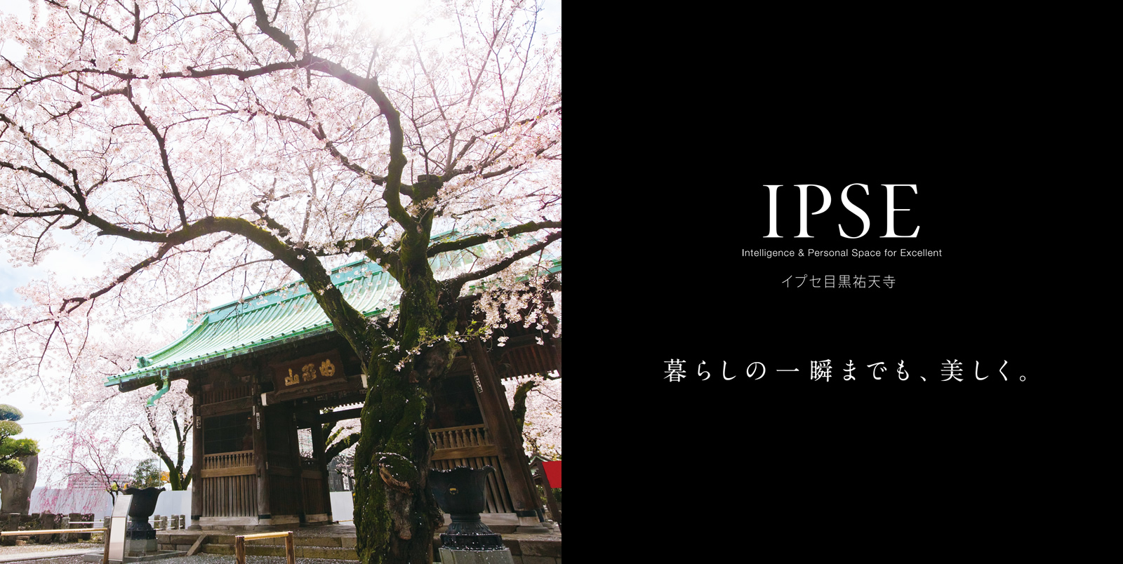 イプセ目黒祐天寺 IPSE Intelligence & Personal Space for Excellent 暮らしの一瞬までも、美しく