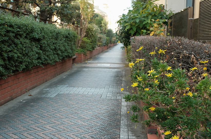 桃園川緑道