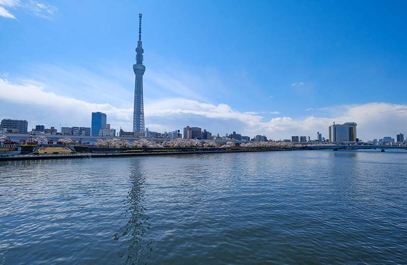 隅田川（春）