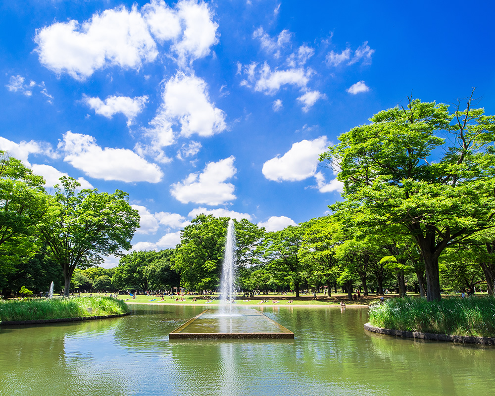 代々木公園