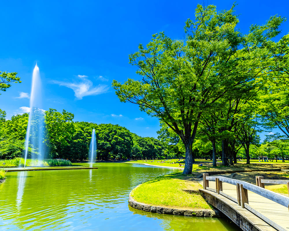 代々木公園