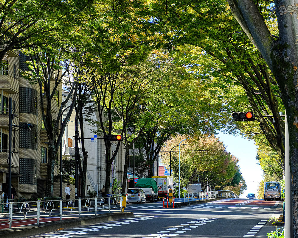 井の頭通り