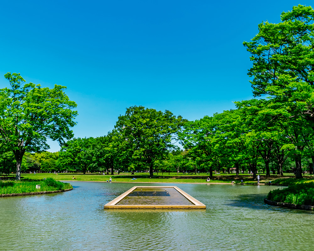 代々木公園